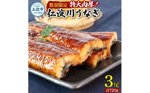 【数量限定！】仁淀川特大肉厚うなぎ3尾セット 