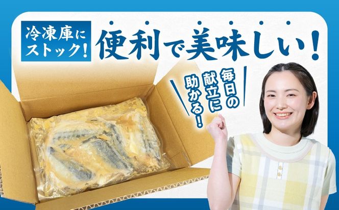 G5889 【先行予約】サバの味噌煮 10食 合計800g【2027年1月以降発送 鯖 さば サバ 味噌 煮物 惣菜 おかず 切り身 簡単調理 時短】