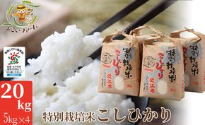 【C-547】【令和7年産　新米】よこいファーム 特別栽培米コシヒカリＢ　20kg（5kg×4） ［高島屋選定品］