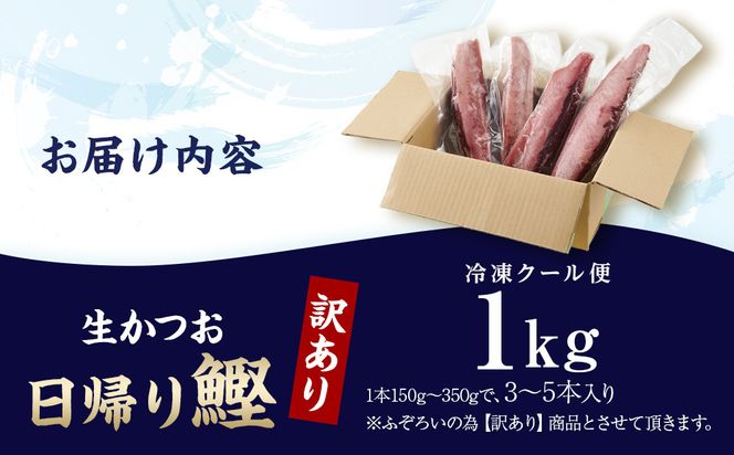 かつお一本釣り漁師が直送！ 日帰り生かつお 訳あり 1kg入 304018_DT03