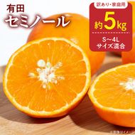 【2027年先行予約】訳あり 家庭用 セミノール  和歌山 有田  S～4Lサイズ混合 約5kg_DZ6211