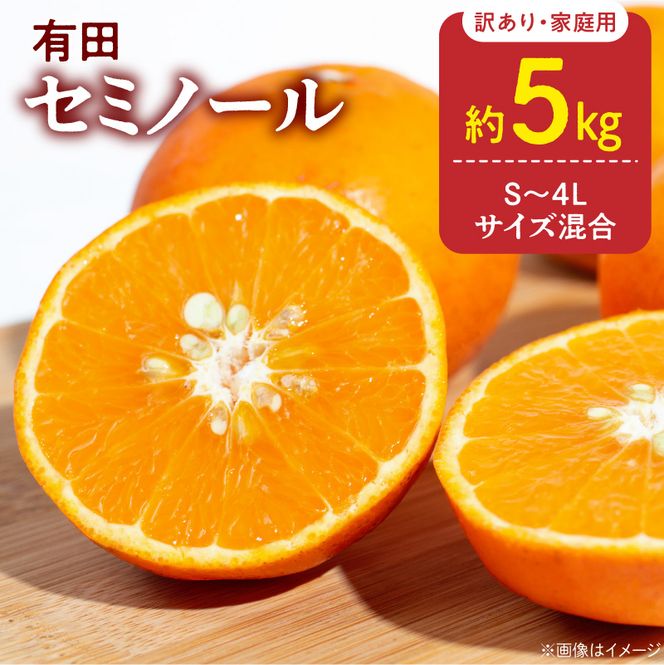 【2027年先行予約】訳あり 家庭用 セミノール  和歌山 有田  S～4Lサイズ混合 約5kg_DZ6211