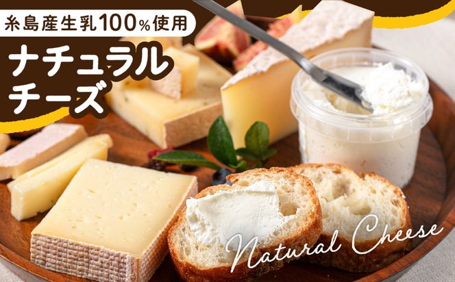 糸島産 生乳 100％ 使用 手作り チーズ 4種 TAKセレクト【ベーシック】 糸島市 / 糸島ナチュラルチーズ製造所TAK-タック-[AYC007]