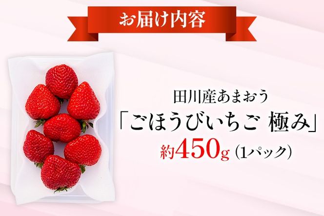 あまおう ごほうびいちご 極み 田川産あまおう 450g ＜2025年1月以降順次発送予定＞ あまおう いちご 苺 大粒 フルーツ 果物 お取り寄せ ご当地グルメ 福岡土産 取り寄せ グルメ 福岡県 食品