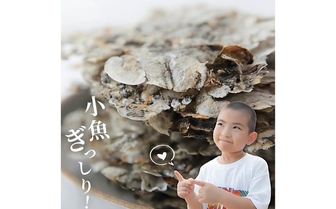 愛南 まるごとイワシせんべい 1袋 15g 伊予乃国 いわし せんべい おつまみ おやつ 海鮮 お酒 父の日 母の日 こどもの日 敬老の日 プレゼント カルシウム 鰯 煎餅 魚 煮干し 3000円 試供品 お試し 少量 愛媛県 愛南町