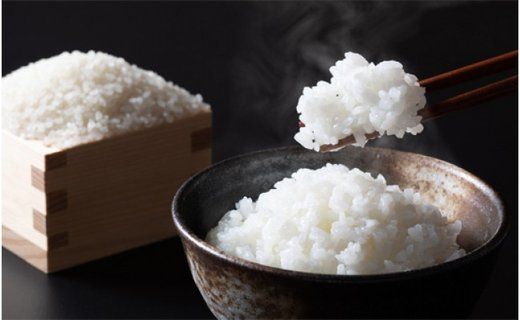 令和7年産 減農薬米 特別栽培米 六方銀米 コシヒカリ 10kg （5kg×2袋）/ 減農薬 米  お米 10キロ 精米 白米 コウノトリ米 コメ こめ ご飯 ライス こしひかり 兵庫県産