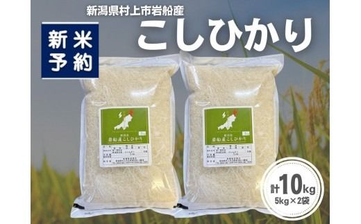 【新米受付・令和8年産米】新潟県村上市岩船産 コシヒカリ10kg（5kg×2袋）1099014N