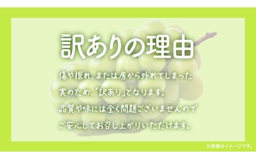 【 訳あり 】 シャインマスカット 4kg 【2026年8月発送開始】(茨城県共通返礼品：大子町) ぶどう 葡萄 マスカット フルーツ 果物 ワケあり ご自宅用 ご家庭用 自分用