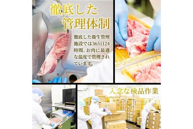 おおいた豊後牛 切り落とし (計800g・200g×4P) 国産 牛肉 肉 和牛 ブランド牛 小分け 大分県産  大分県 佐伯市 【FW011】【 (株)ミートクレスト】