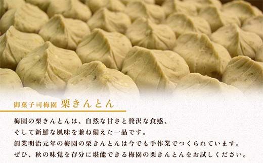 ＜御菓子司梅園＞ 栗きんとん12個(6個入×2箱) 【1月お届け】 栗きんとん 和菓子 菓子 スイーツ 秋 限定 詰め合わせ 冷蔵 岐阜県 F4N-2393