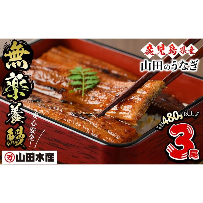 [無薬養鰻] 鹿児島産 山田のうなぎ [計480g以上](160g以上×3尾)a6-062