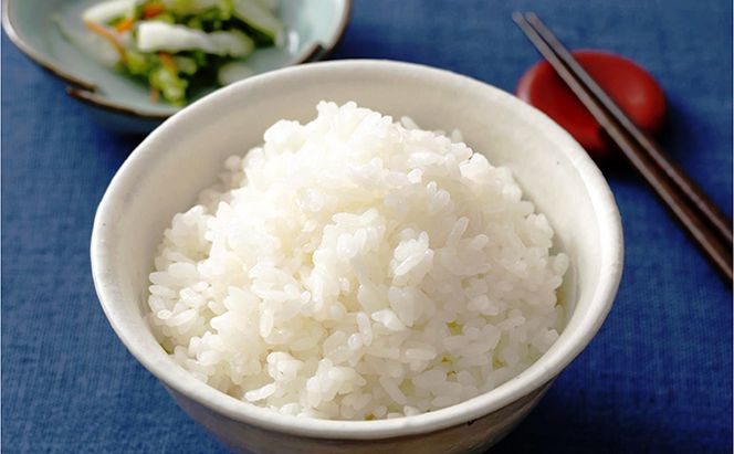 米 令和7年産 加西産 ヒノヒカリ 2等米 白米 8kg(玄米換算) お米 精米 ご飯 白飯 単一原料米