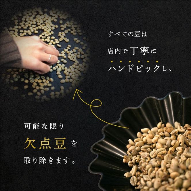 定期便 隔月 4回【茅ヶ崎のスペシャルティコーヒー専門ロースター】CRUISE TOWN COFFEE ROASTERS オリジナルブレンド4種セット（100g×4） コーヒー豆 飲み物 飲料 ドリンク コーヒーブレイク 飲み比べ 