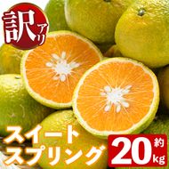 ＜先行予約受付中！2026年12月下旬以降順次発送予定＞訳あり！スイートスプリング(約20kg) 国産 鹿児島県産 阿久根市産 柑橘 みかん 果物 フルーツ デザート ご家庭用 ご自宅用 【有限会社まなべみかん園】akn034-17