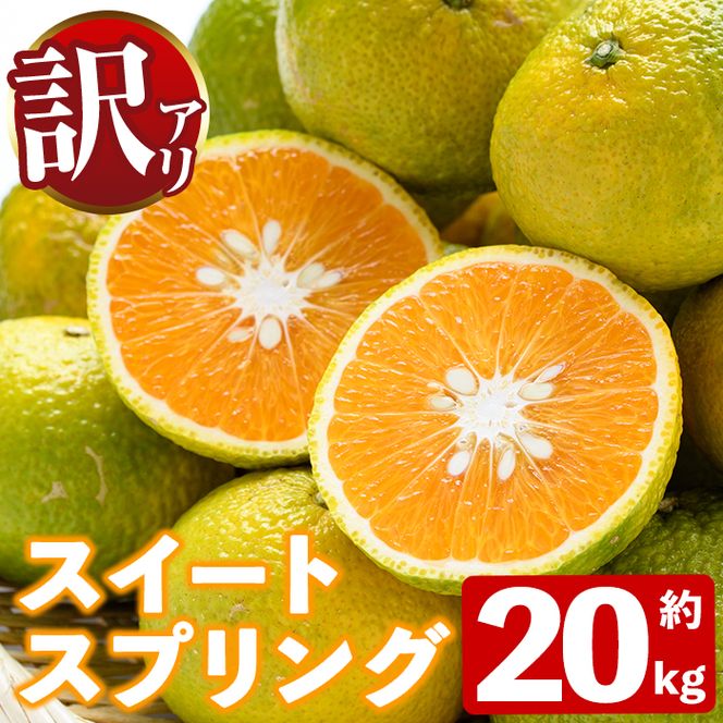 ＜先行予約受付中！2026年12月下旬以降順次発送予定＞訳あり！スイートスプリング(約20kg) 国産 鹿児島県産 阿久根市産 柑橘 みかん 果物 フルーツ デザート ご家庭用 ご自宅用 【有限会社まなべみかん園】akn034-17
