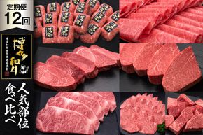 肉 博多和牛 人気部位 食べ比べ 12回 定期便 牛肉 [久田精肉店 福岡県 宇美町 um40bsi440056] 牛肉 和牛 国産 うし お肉 ステーキ 焼肉 赤身 小分け スライス シャトーブリアン ヒレ ロース ハンバーグ 冷凍