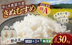 ＜定期便 全3回＞ 令和8年産 真庭市産きぬむすめ 無洗米 10kg (5kg×2袋) ×3回 岡山県 竹中商店 先行予約 米 【tkns-tkb022】