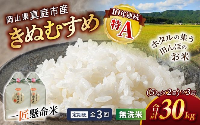 ＜定期便 全3回＞ 令和8年産 真庭市産きぬむすめ 無洗米 10kg (5kg×2袋) ×3回 岡山県 竹中商店 先行予約 米 【tkns-tkb022】