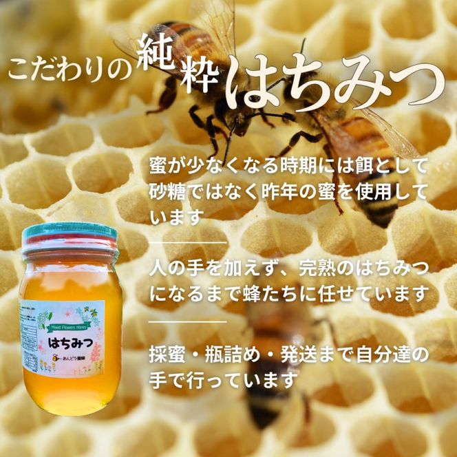 全国送料無料・イイ店 600g×3本 アカシア 天然はちみつ 蜂蜜 鳥取県産 ハチ蜜 ハチミツ その他