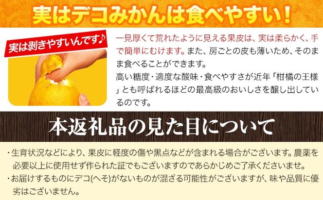 不知火 約5kg 1箱 15-20玉前後 山本果樹園《2月末-5月末頃出荷予定》しらぬい 熊本県 氷川町 柑橘---sh_ymtsni_ec25_r7_15000_5kg---