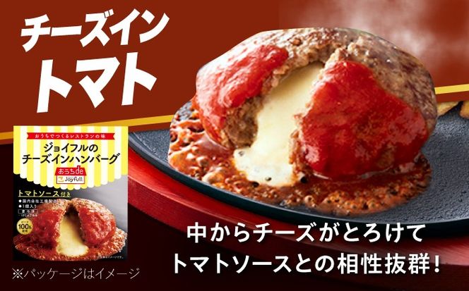ジョイフル ハンバーグ 14個 ( デミグラスソース ・ トマトソース )《築上町》【株式会社 ジョイフル】[ABAA088]