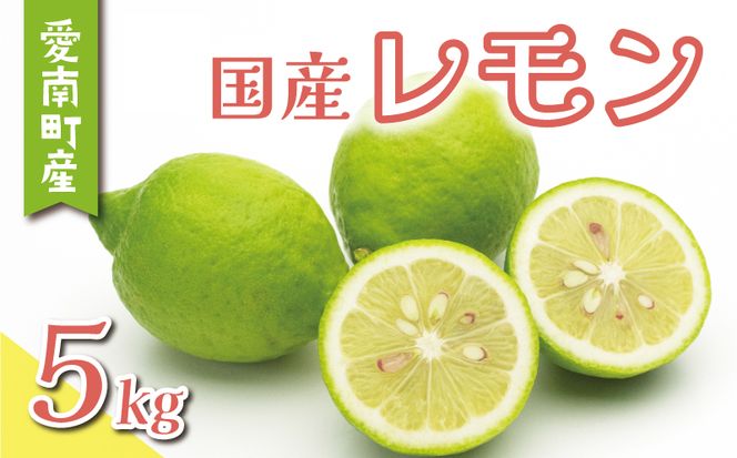 数量限定 レモン 5kg 8000円 柑橘 サイズ 不揃い 家庭用 檸檬 国産 フルーツ 果物 果実 産地直送 農家直送 期間限定 特産品 瀬戸内 ワックス 防腐剤 不使用 有機栽培 果汁 人気 新鮮 レモネード 塩レモン レモン酢 レモンソース はちみつレモン レモンケーキ レモンスカッシュ レモンサワー レモン酎ハイ 等に ビタミン くらもとファーム 愛南町 愛媛県