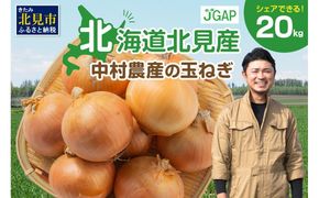 【予約：2026年10月から順次発送】北海道北見産 玉ねぎ 20kg ( 玉ねぎ 野菜 たまねぎ タマネギ 玉葱 甘い 20キロ ハンバーグ 肉じゃが ふるさと納税 玉ねぎ )【002-0005-2026】