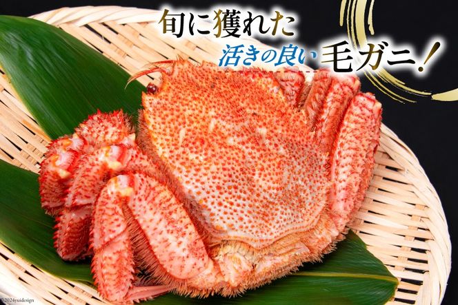 【期間限定発送】かに 三陸産浜ゆで毛ガニ 約500g×2 計1kg [村東商店 宮城県 気仙沼市 20564161] 魚介類 海鮮 三陸産 三陸 カニ 蟹 毛ガニ 毛がに 毛蟹 ボイル 浜茹で 浜ゆで 冷蔵