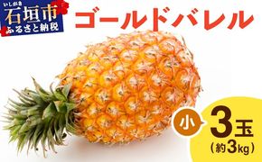 ≪5月上旬順次発送≫ゴールドバレル 小 3玉（約3kg） TP-15