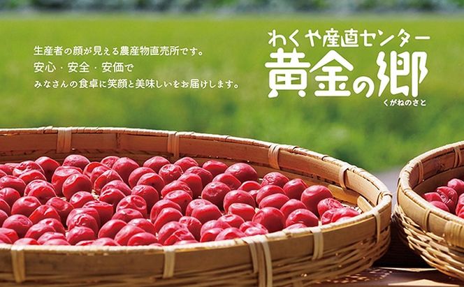 黄金の郷 お母ちゃんの味 梅干し (約180g×2) ＆ しそ巻き (甘口・辛口 計2パック) セット / 梅干し 梅干 うめ ウメ ご飯のお供 手作り 食べ比べ【aubless014】