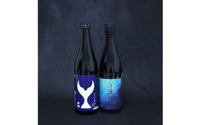 仁淀川純米大吟醸 CEL-24 酔鯨純米大吟醸 寅 2本セット 高知県 土佐市 こうち 返礼品