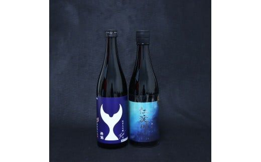 仁淀川純米大吟醸 CEL-24 酔鯨純米大吟醸 寅 2本セット 高知県 土佐市 こうち 返礼品