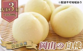 桃 2026年 先行予約 岡山の 白桃 大玉3玉（晩生種）（1玉約300g） もも モモ 岡山県産 国産 フルーツ 果物 ギフト