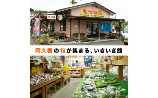 期間限定！鹿児島県産ラッキョウ使用！塩らっきょうの漬け物(400g×3袋・計1.2kg)国産 九州産 鹿児島産 おつまみ 漬物 辣韭【あくね旬の店いきいき館】akn015-06