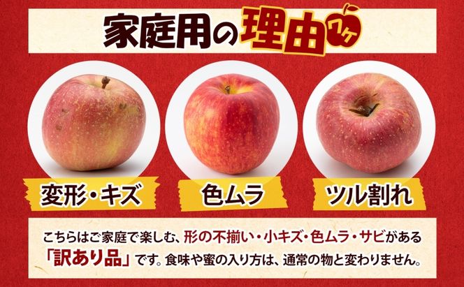 【5月発送クール便】 白熊 訳アリ家庭用シナノスイート 約5kg スマートフレッシュ 糖度13度【青森りんご 果物 フルーツ 果物類 デザート 食後 おやつ 青森のりんご 】