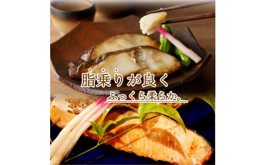 和歌山魚鶴仕込みのだし漬け天然銀だら切身6切＆銀鮭切身6切　（真空パック入）  小分け / 銀鱈 さけ  だし 魚 切り身 切身 魚 海鮮 焼き魚 ご飯のおとも おかず【uot851A】