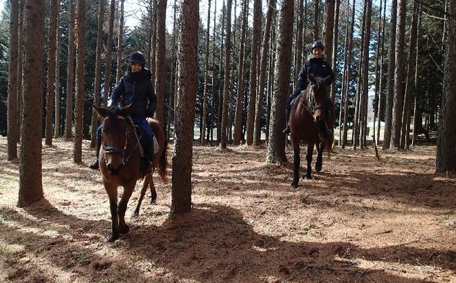 乗馬 体験 まきば軽井沢 5級乗馬ライセンス取得コース 体験チケット 