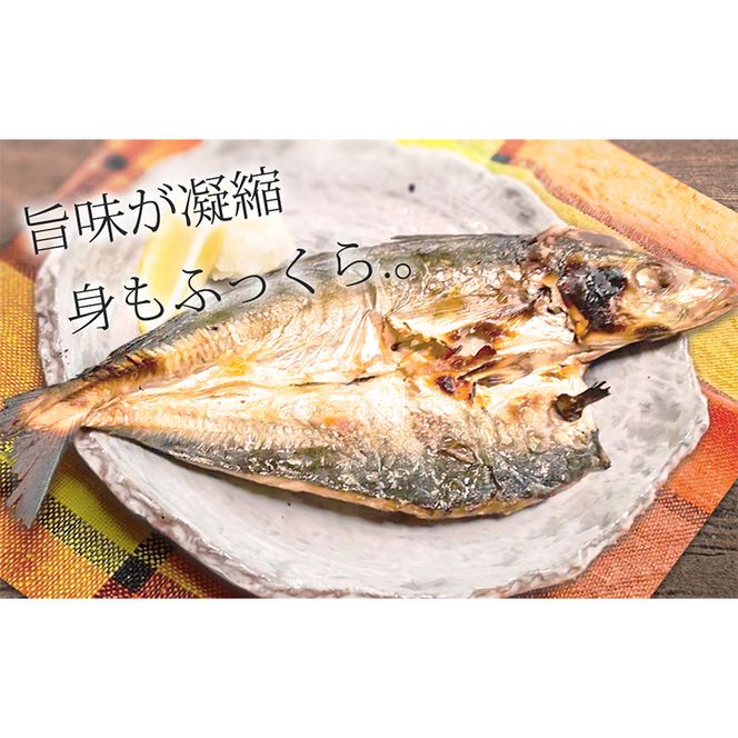 DL6001n_しらす ・ 干物 おまかせ詰め合わせ セット A