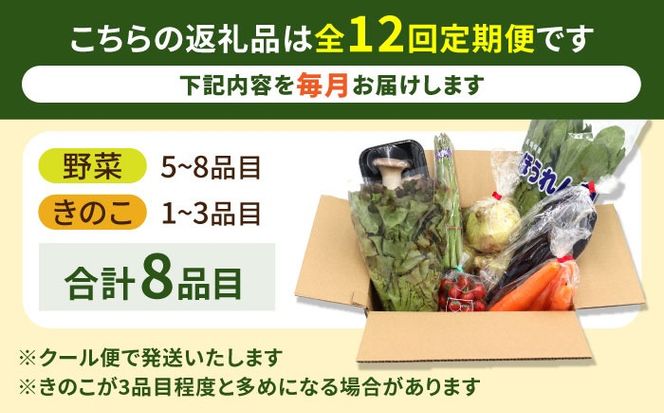 【12回定期便】お試し野菜セット 8品目 詰め合わせ / 野菜 やさい ヤサイ 旬 新鮮 / 南島原市 / 吉岡青果[SCZ030]