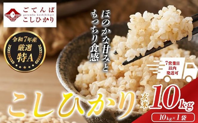 令和7年産 コシヒカリ 【 玄米 】 10㎏ 