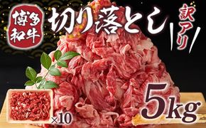 訳アリ！博多和牛切り落とし 5kg(500g×10p）　DX033