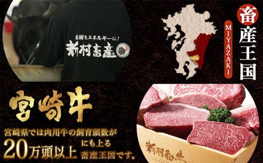 宮崎牛スジ肉2kg_18-4202_(都城市) 国産黒毛和牛 牛すじ肉 (500g×4パック 合計2キロ) 40度の急速冷凍で新鮮なままお届け 煮込み料理やカレーにも 宮崎県産