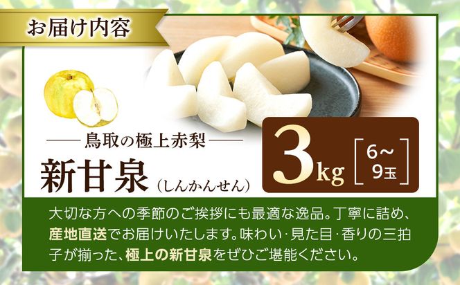 1256.【2026年度発送先行予約】数量限定　新甘泉　3kg 313726_CS002