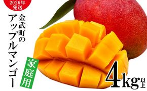 【2026年発送】農家さん直送！アップルマンゴー4kg以上　家庭用 アーウィン 果物 甘い 夏 濃厚 ギフト Mango ランキング 完熟 お気に入り 収穫 人気 甘味 フルーツ 沖縄県 先行予約 食品 デザート 産地直送 送料無料