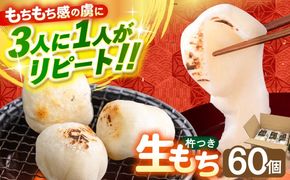 築上町産 本格 杵つき 生もち 60個 (10個×6パック)《築上町》【アルク農業サービス合同会社】 餅 お餅 もち [ABAB001]