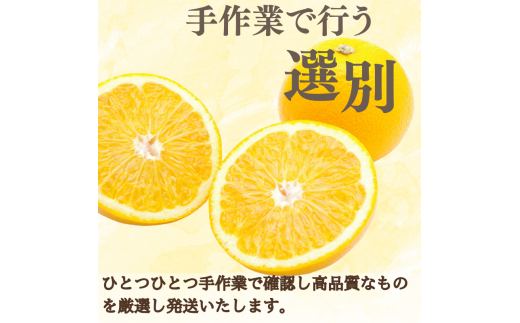 新鮮！はじける食感！「きみのハッサク」約3kg (10~13個程度) サイズ L~2L ご家庭用(秀優混合)/八朔 柑橘 和歌山県 手選別 【kmf011】