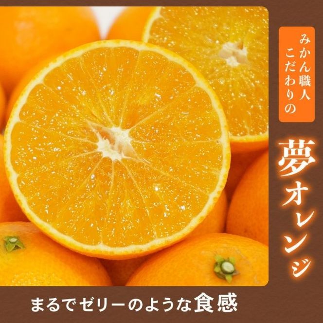 【先行予約】訳あり みかん職人の夢おれんじ 5kg 柑橘 果物 フルーツ オレンジ 愛媛 みかん職人武田屋 蜜柑 愛果28号 愛媛果試第28号 まどんな 大小ミックスサイズ 甘い 甘さ らんきんぐ みかん かんきつ 柑橘 冬 旬 食べごろ 農家 農家直送 農園 人気 みかん職人 武田屋 産直 みかん職人武田屋 愛媛県 愛南町