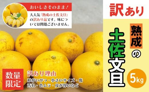 [訳あり・数量限定]熟成の土佐文旦5kg 家庭用 訳あり 訳アリ わけあり 大人気 人気 リピーター 予約 先行 先行受付 早期 家庭用 早い者勝ち 国産 産地直送 限定 旬 文旦 ぶんたん ブンタン フルーツ 果物 柑橘 5kg オススメ 四万十市 四万十 しまんと 高知県 高知 南国 土佐 四国 産地直送 農家直送 お取り寄せ 送料無料[2026年3月上旬〜無くなり次第終了]25-553