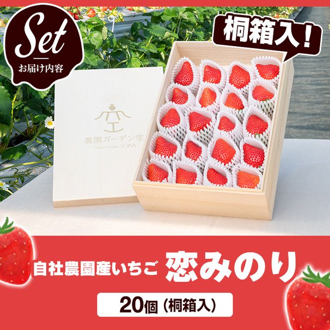 ＜先行予約受付中！2027年1月以降順次発送予定＞桐箱入！自社農園産いちご 恋みのり(計20個) 鹿児島 阿久根 自社農園 果物 フルーツ イチゴ いちご 苺 恋みのり 贈答用 ギフト 桐箱 デザート 期間限定【農園ガーデン空】akn026-11