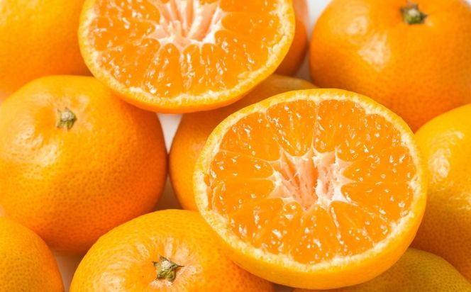 【先行予約】Saito Orange Farmの南柑20号10kg（2026年12月下旬頃より順次発送予定） IKTAQ019